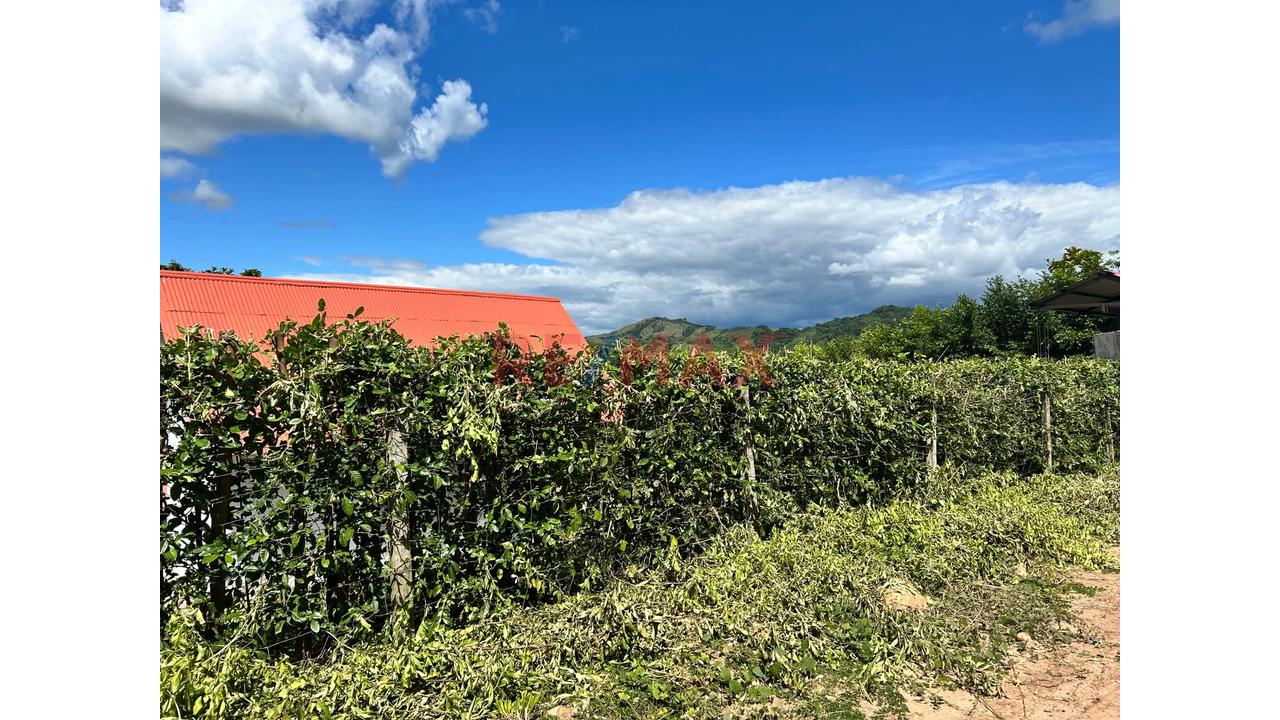 El Lugar Perfecto Para Tu Casa De Campo: Terrenos Con Financiamiento En Exclusivo Condominio Cerca A Tarapoto — foto 11