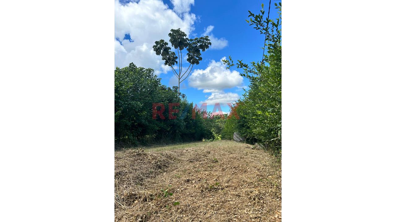 El Lugar Perfecto Para Tu Casa De Campo: Terrenos Con Financiamiento En Exclusivo Condominio Cerca A Tarapoto — foto 10