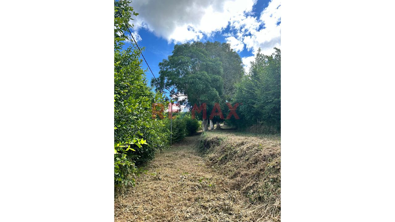 El Lugar Perfecto Para Tu Casa De Campo: Terrenos Con Financiamiento En Exclusivo Condominio Cerca A Tarapoto — foto 5