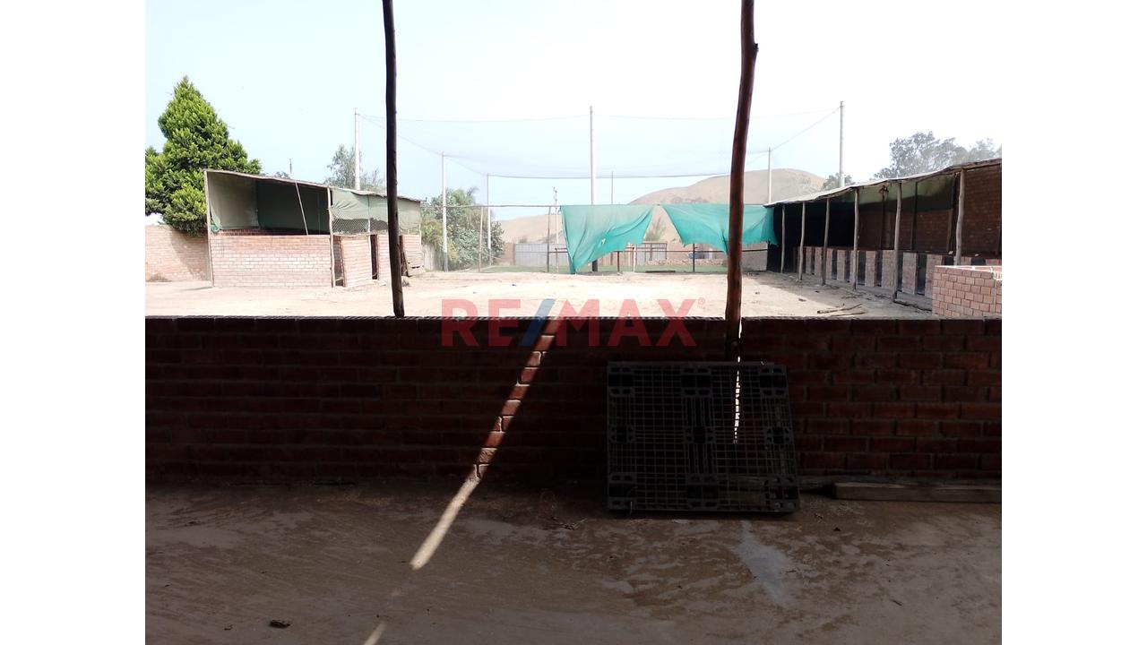 Se Alquila Terreno Habilitado Para Guardería De Perros En Pachacamac - 6