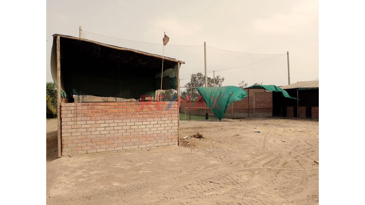 Se Alquila Terreno Habilitado Para Guardería De Perros En Pachacamac - 9