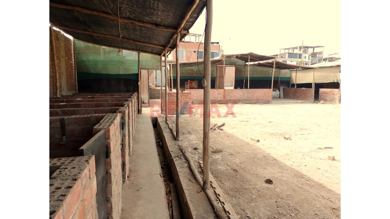 Se Alquila Terreno Habilitado Para Guardería De Perros En Pachacamac - 4