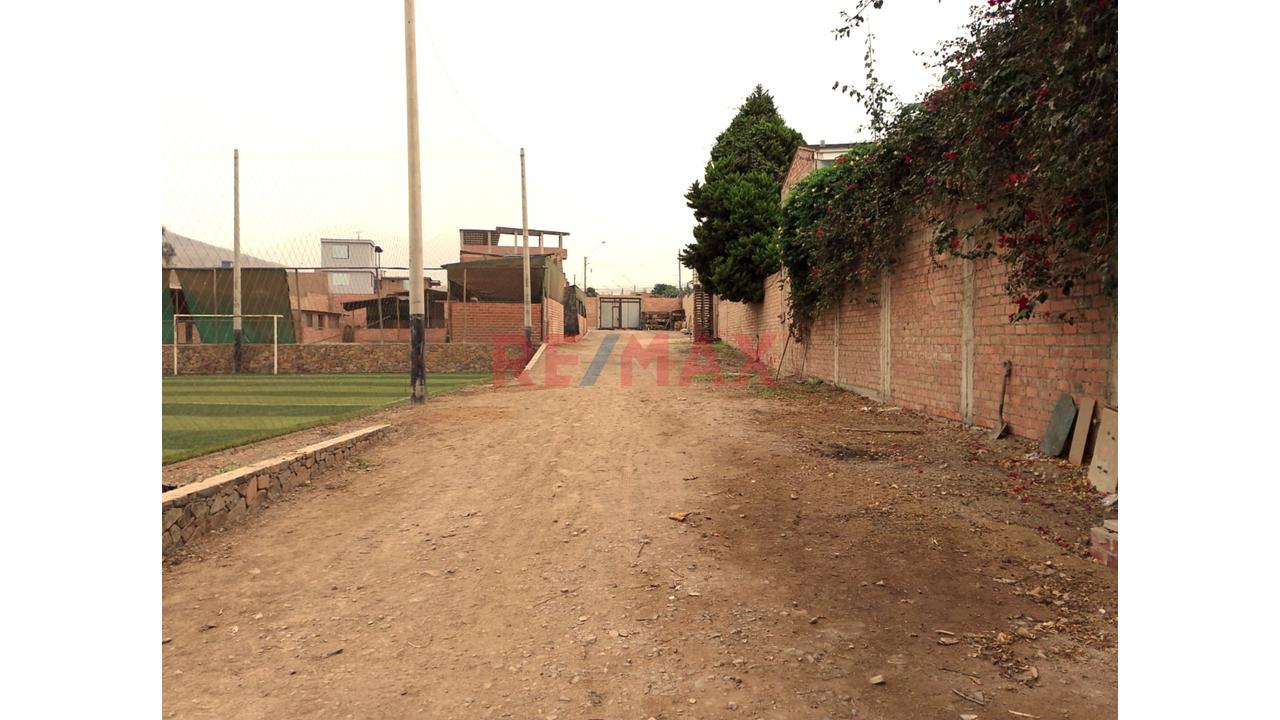 Se Alquila Terreno Habilitado Para Guardería De Perros En Pachacamac - 14