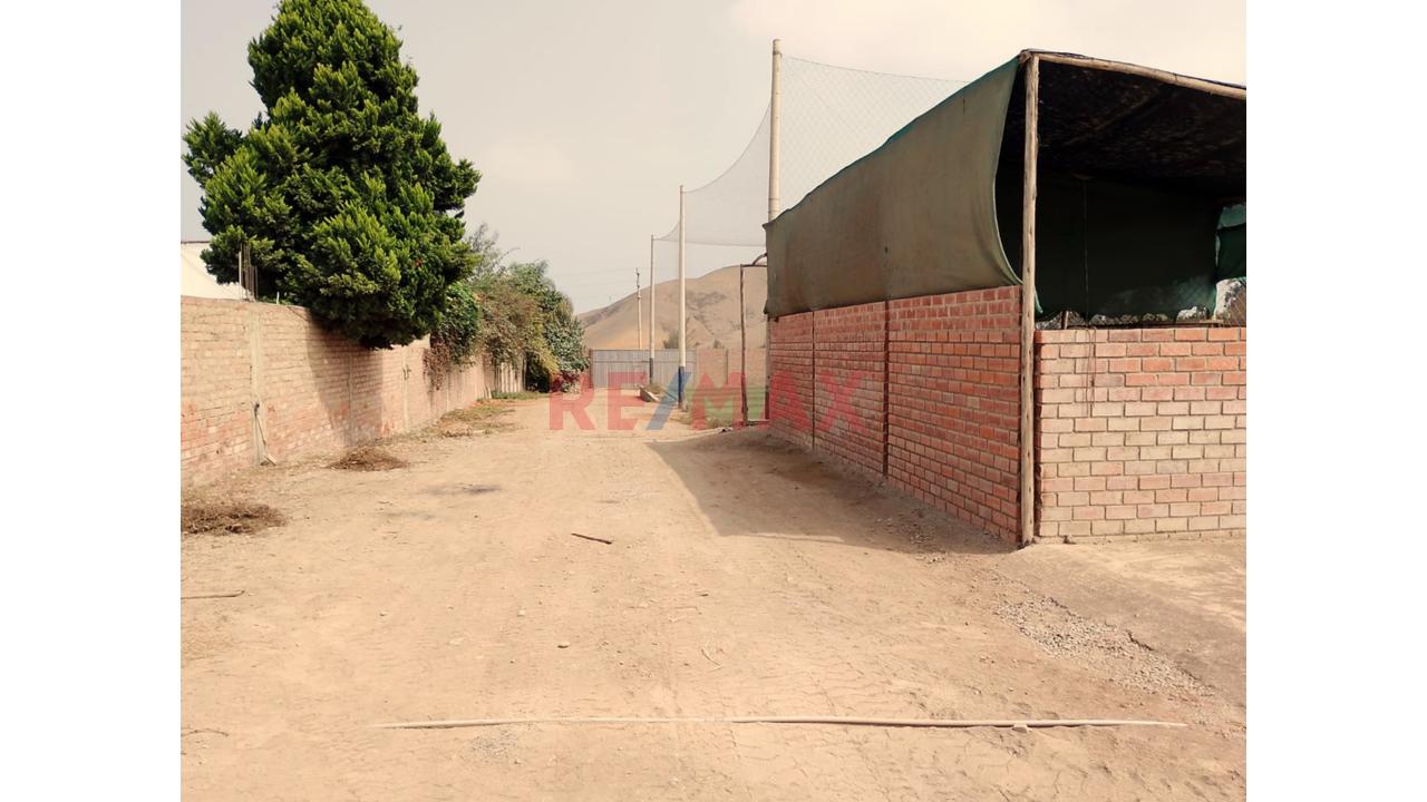 Se Alquila Terreno Habilitado Para Guardería De Perros En Pachacamac - 13