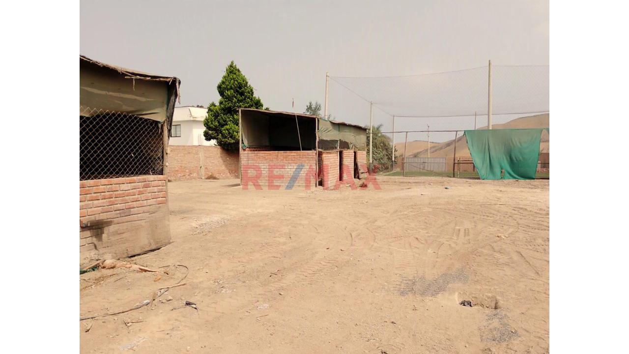 Se Alquila Terreno Habilitado Para Guardería De Perros En Pachacamac - 12
