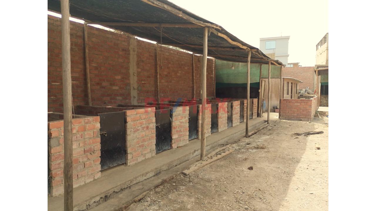 Se Alquila Terreno Habilitado Para Guardería De Perros En Pachacamac - 3