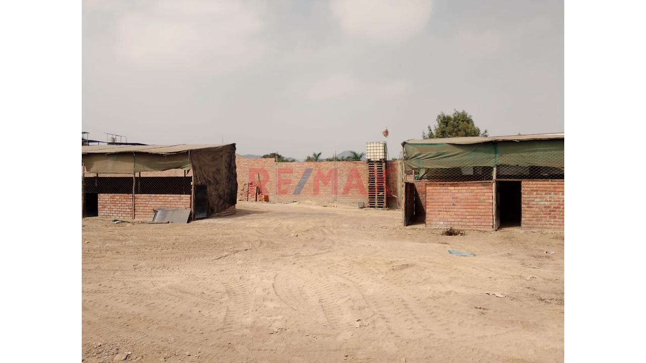 Se Alquila Terreno Habilitado Para Guardería De Perros En Pachacamac - 11