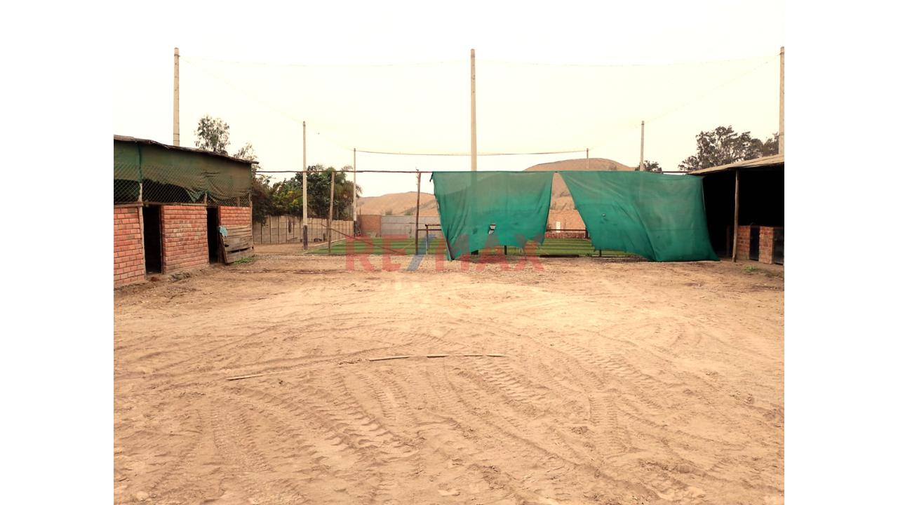 Se Alquila Terreno Habilitado Para Guardería De Perros En Pachacamac - 5