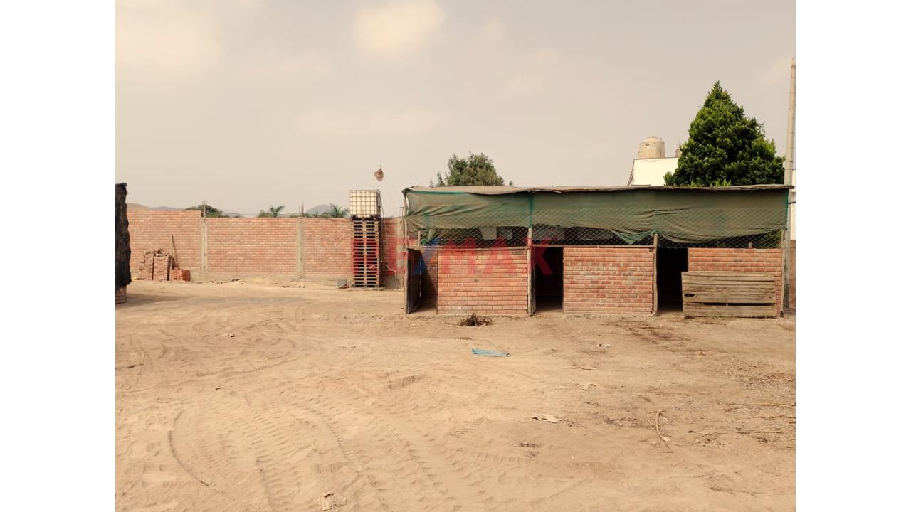 Se Alquila Terreno Habilitado Para Guardería De Perros En Pachacamac - 10