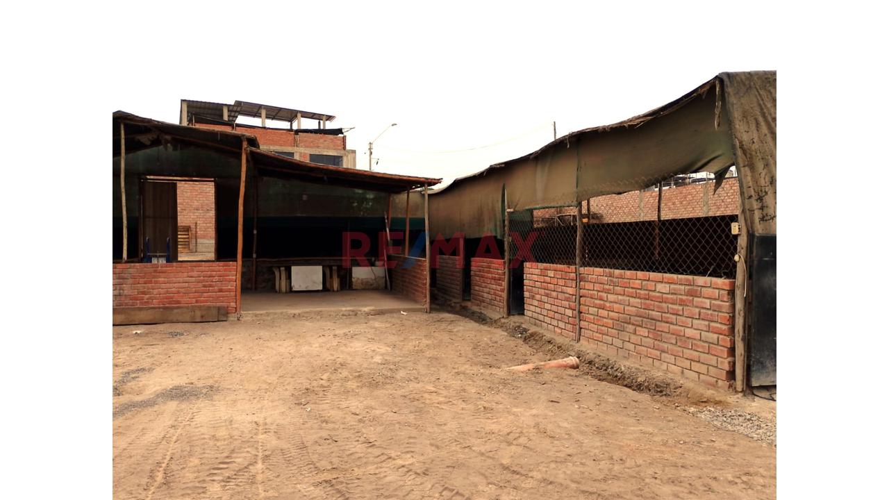 Se Alquila Terreno Habilitado Para Guardería De Perros En Pachacamac - 8