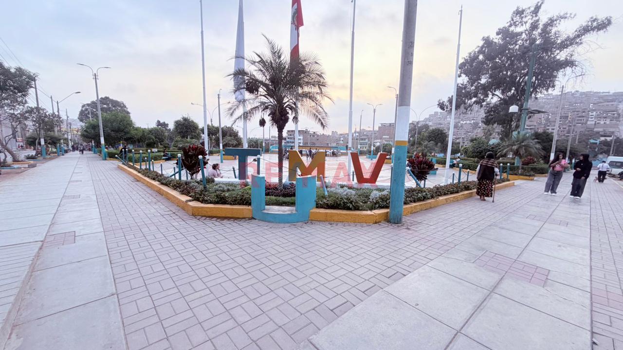 Villa María Del Triunfo**  – Casa + Vivienda + Taller + Negocio Todo En Uno Cerca Ala Municipalidad — foto 2