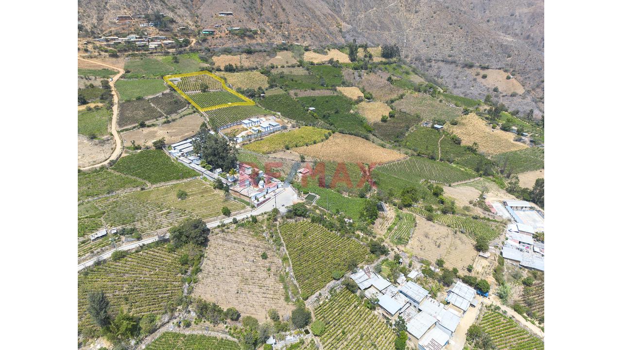Terreno Agricola De 6000M2 En Venta En Cascas - 6