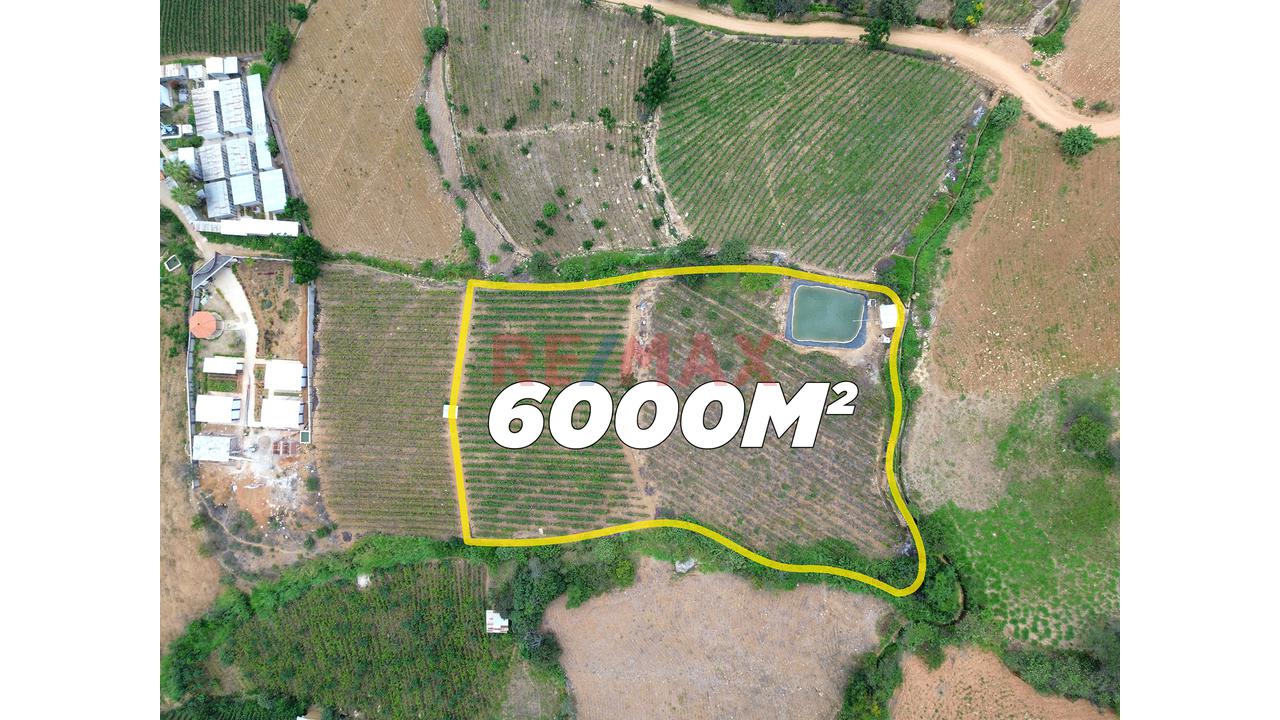 Terreno Agricola De 6000M2 En Venta En Cascas - 4
