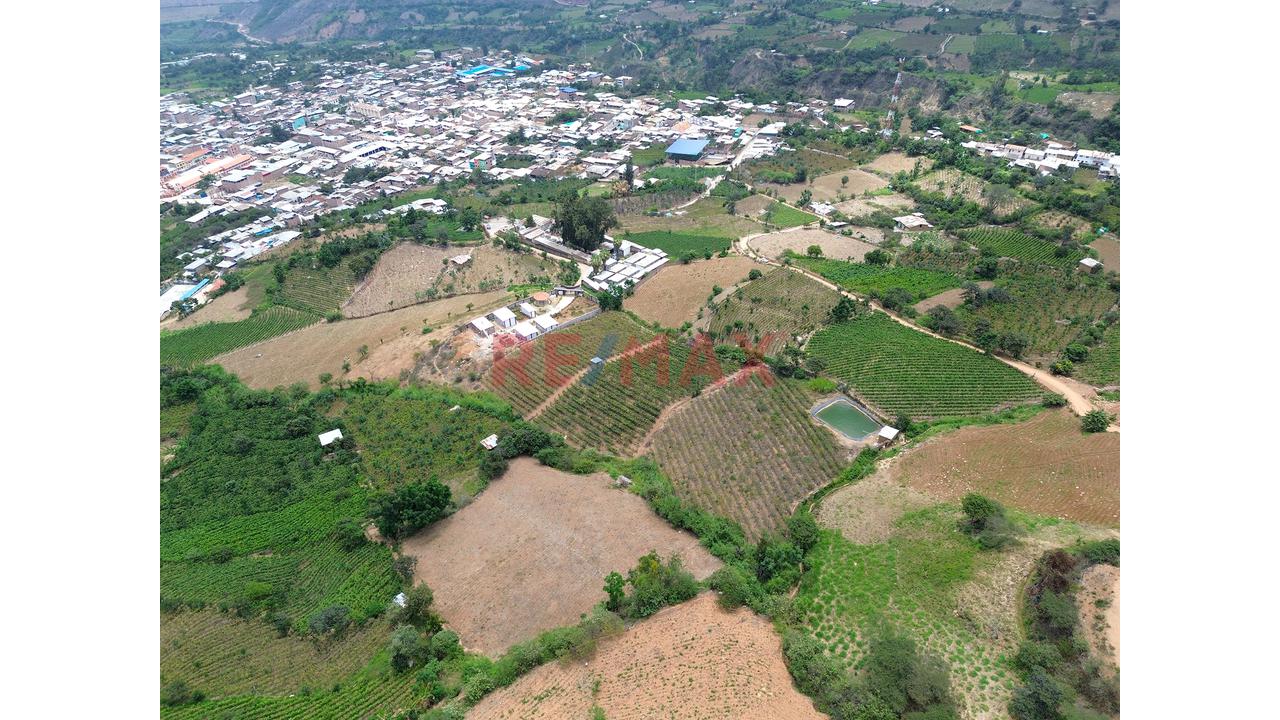 Terreno Agricola De 6000M2 En Venta En Cascas - 3