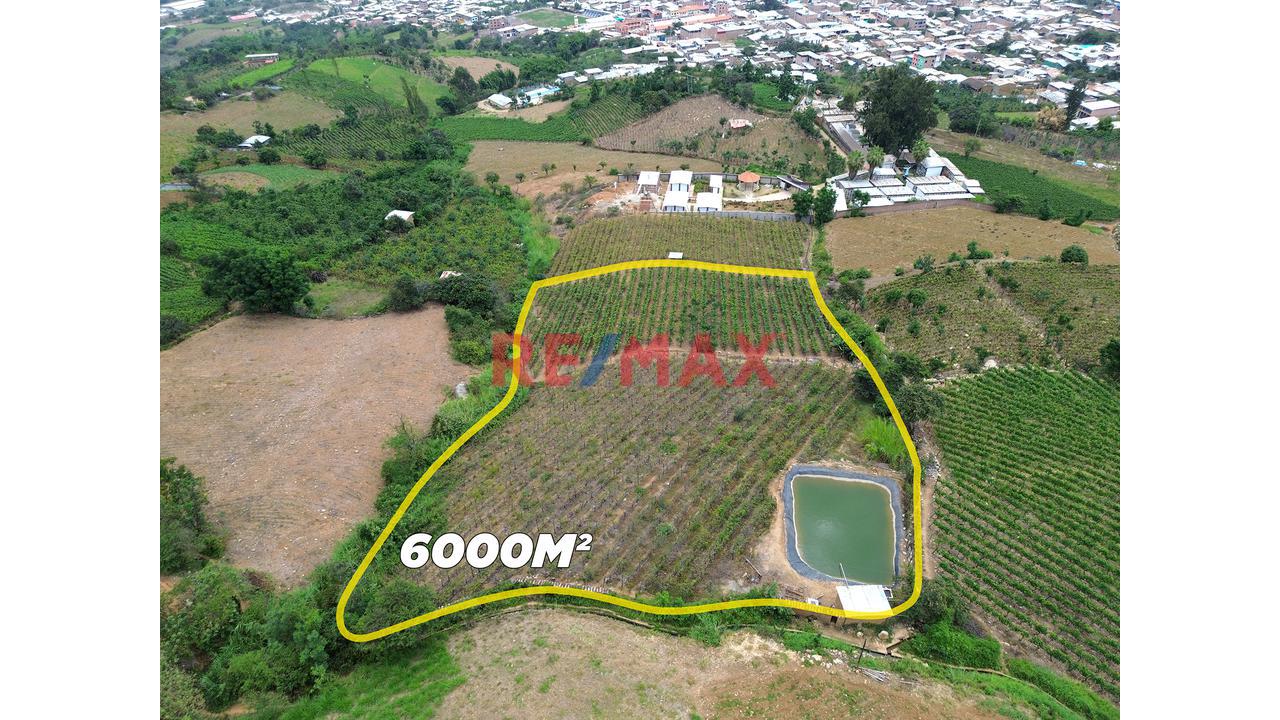 Terreno Agricola De 6000M2 En Venta En Cascas - 1