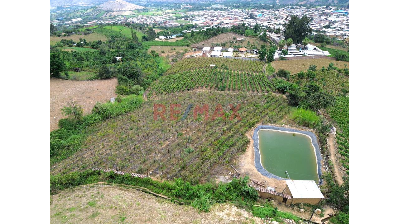 Terreno Agricola De 6000M2 En Venta En Cascas - 2