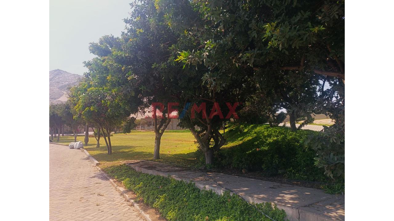 ¡Gran Oportunidad En Estancia De La Huaka! - 7