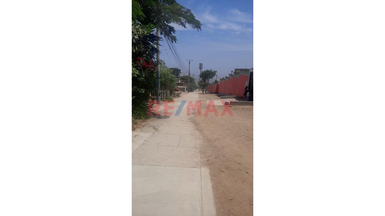 Casa En Venta Como Terreno En Ventanilla De 91 M² Con Gran Potencial De Inversión - 10