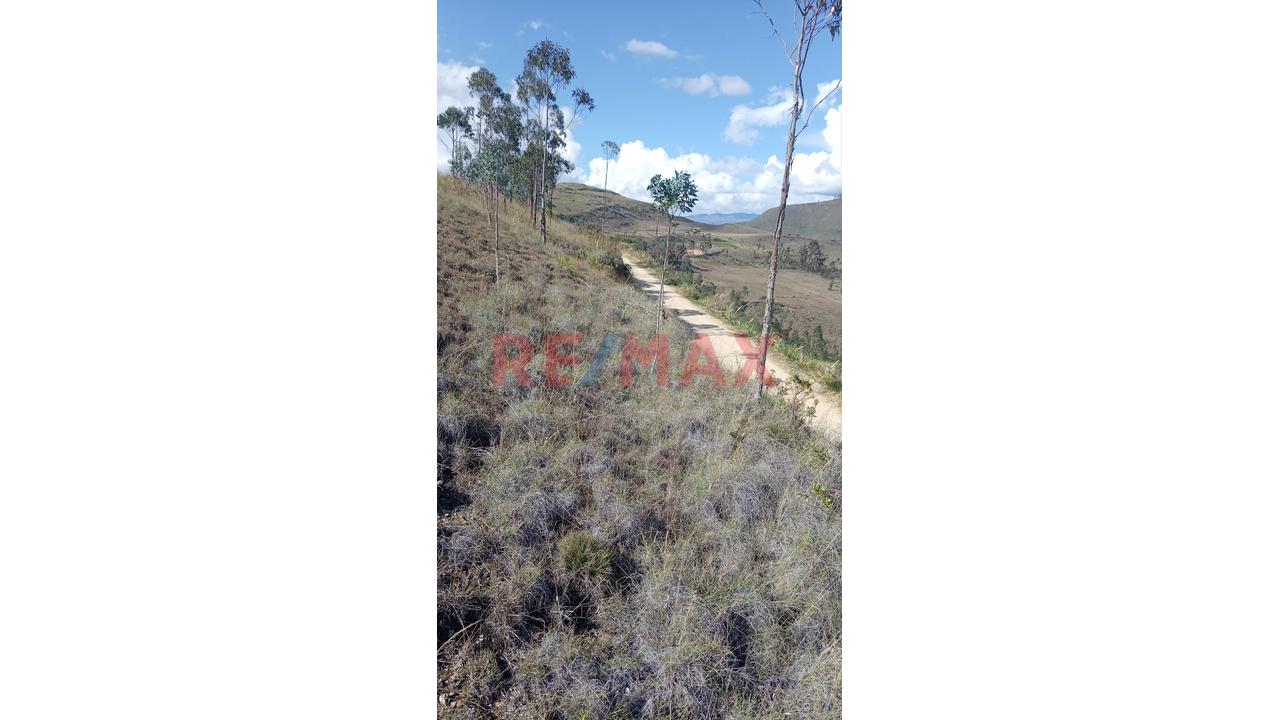 Terrenos De Ensueño: Tu Casa De Campo Cerca De Kuélap Y Gocta. - 7