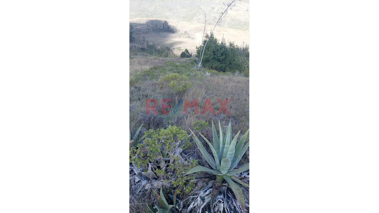 Terrenos De Ensueño: Tu Casa De Campo Cerca De Kuélap Y Gocta. - 9