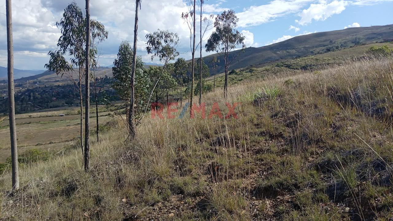 Terrenos De Ensueño: Tu Casa De Campo Cerca De Kuélap Y Gocta. - 3
