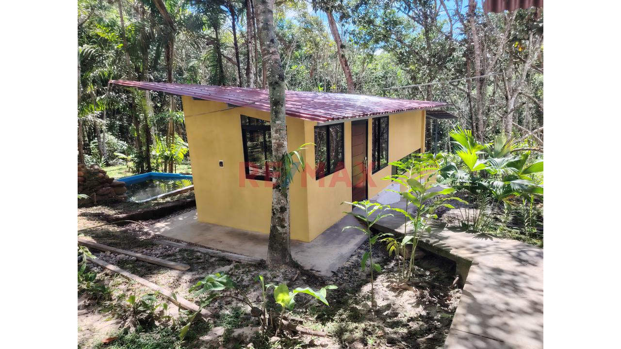 En Venta: Casa Campestre Junto A Los Baños Termales Con 6,600 M² De Terreno, Bosque Virgen Y Minidepartamento Independiente - 5