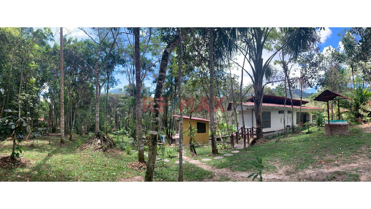 En Venta: Casa Campestre Junto A Los Baños Termales Con 6,600 M² De Terreno, Bosque Virgen Y Minidepartamento Independiente - 10