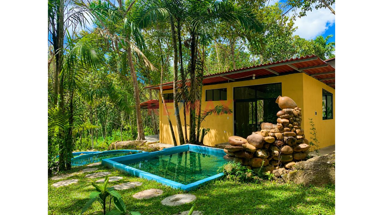 En Venta: Casa Campestre Junto A Los Baños Termales Con 6,600 M² De Terreno, Bosque Virgen Y Minidepartamento Independiente - 8