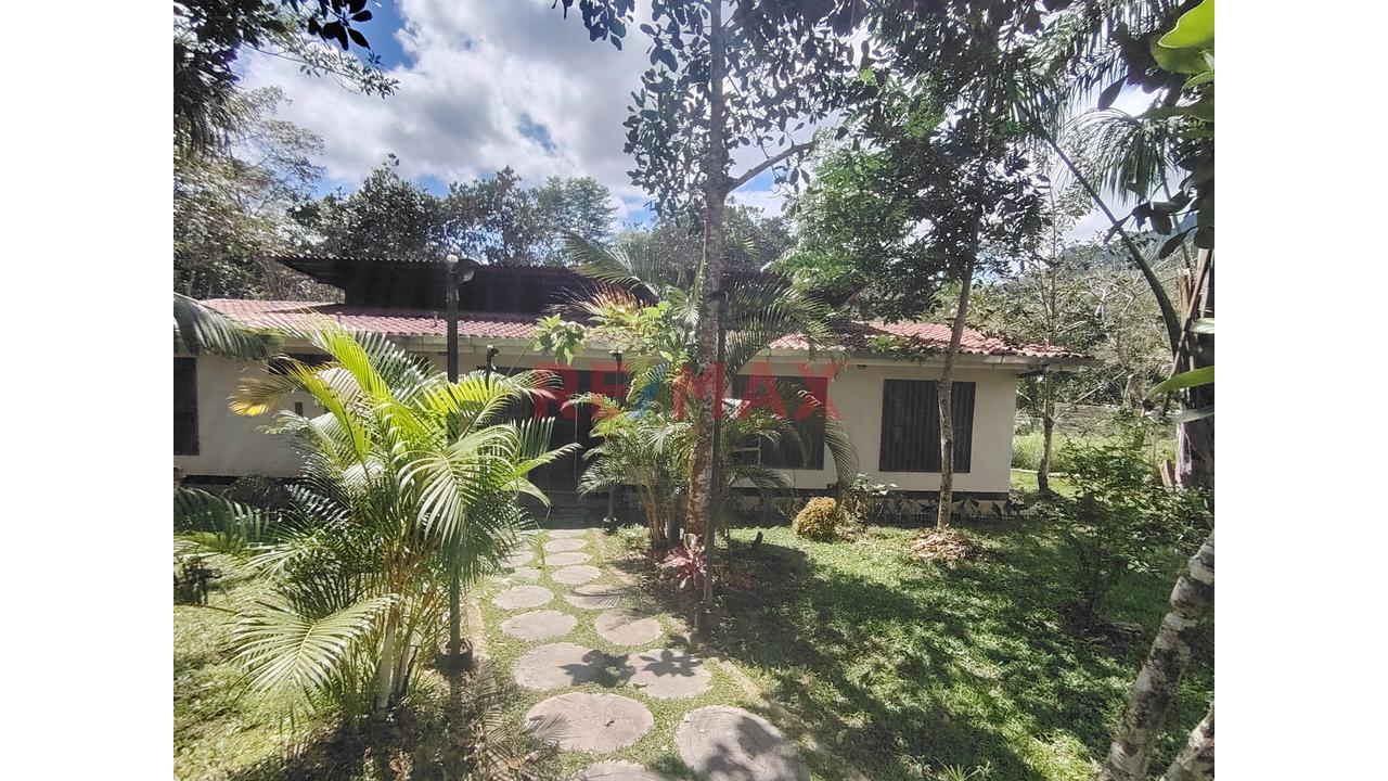 En Venta: Casa Campestre Junto A Los Baños Termales Con 6,600 M² De Terreno, Bosque Virgen Y Minidepartamento Independiente - 3