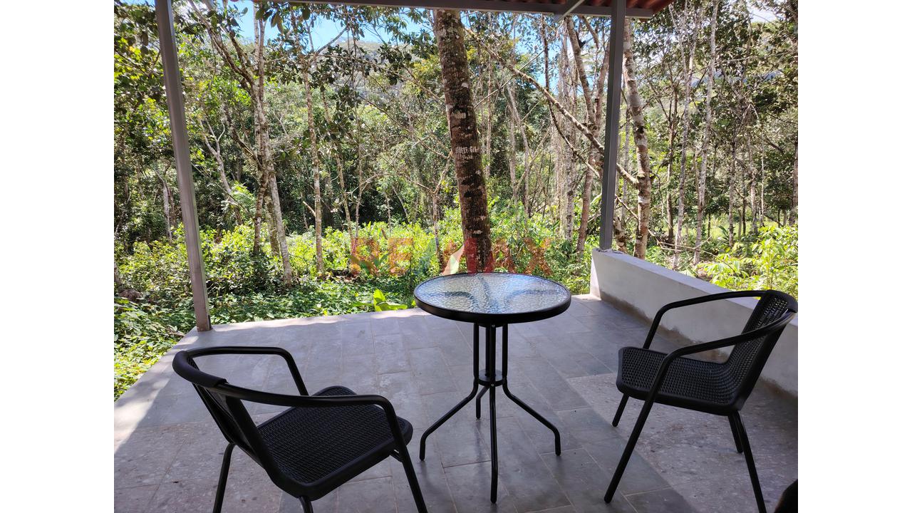En Venta: Casa Campestre Junto A Los Baños Termales Con 6,600 M² De Terreno, Bosque Virgen Y Minidepartamento Independiente - 4