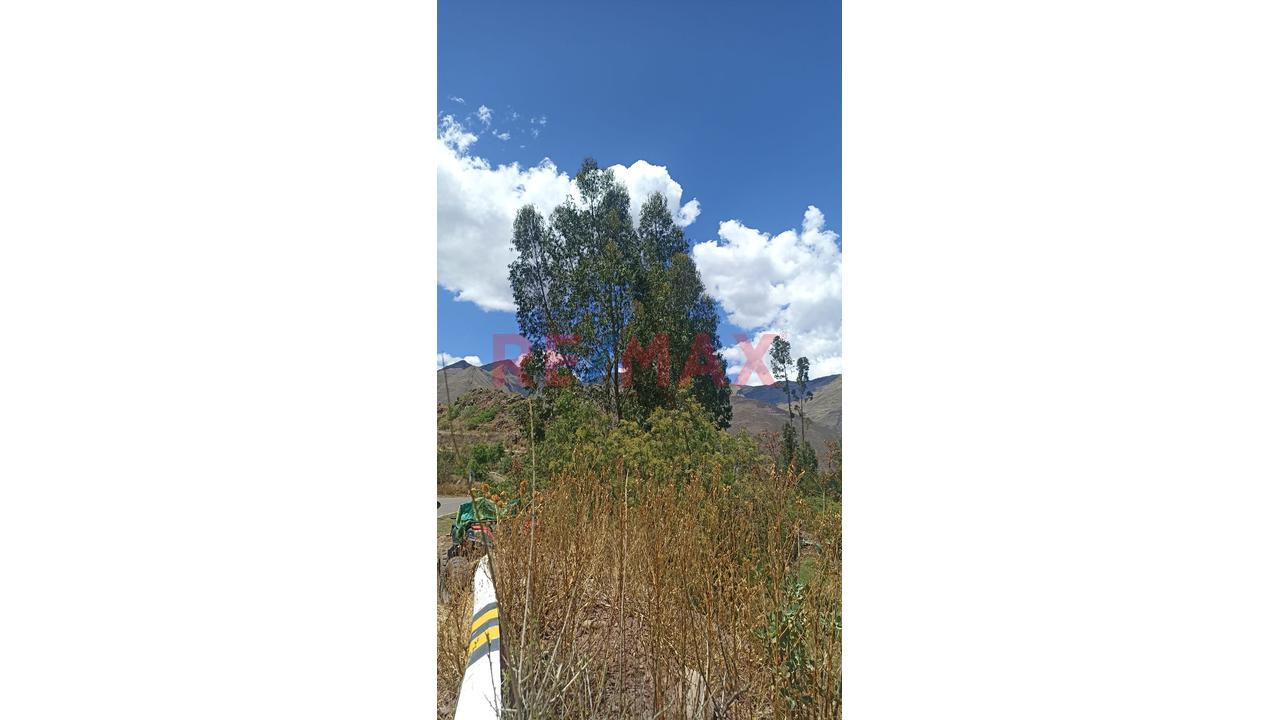 Terreno En Venta En Lucre, Sector Alccoquiscayoc - 6