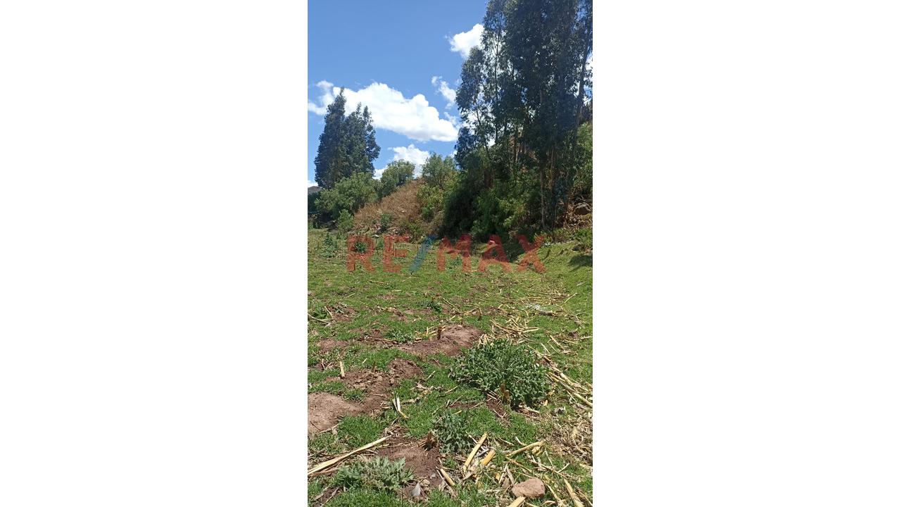 Terreno En Venta En Lucre, Sector Alccoquiscayoc - 4