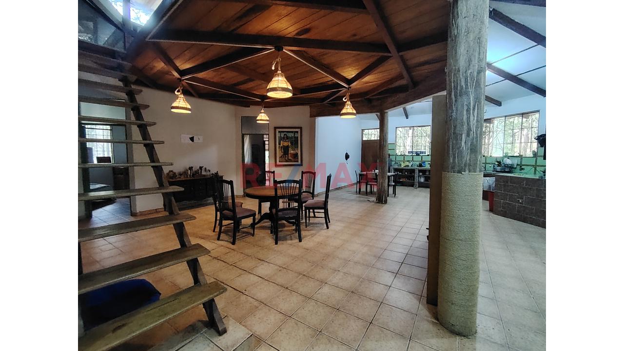 En Venta: Casa Campestre A Metros De Los Baños Termales En Moyobamba Con 10,230 M² De Terreno, Bosque Virgen Y Diseño Octagonal - 11