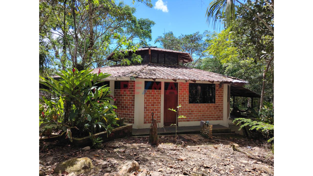En Venta: Casa Campestre A Metros De Los Baños Termales En Moyobamba Con 10,230 M² De Terreno, Bosque Virgen Y Diseño Octagonal - 10