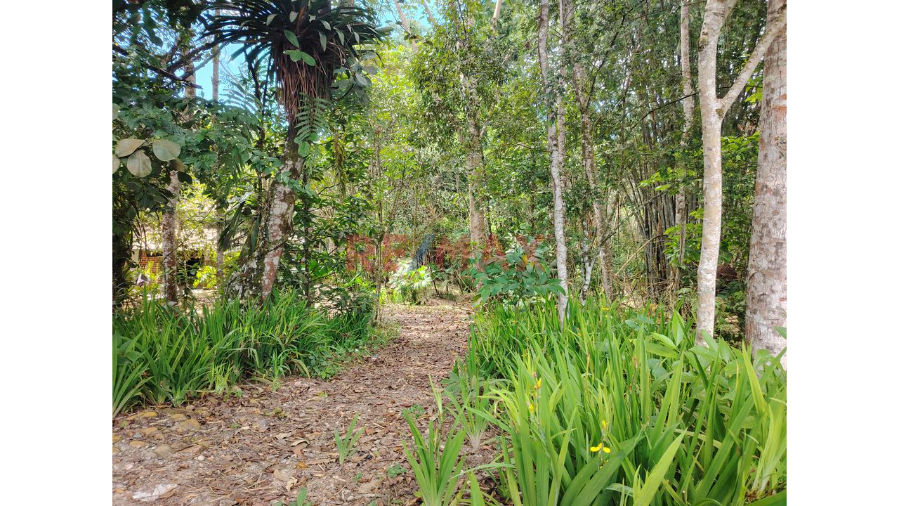 En Venta: Casa Campestre A Metros De Los Baños Termales En Moyobamba Con 10,230 M² De Terreno, Bosque Virgen Y Diseño Octagonal - 4