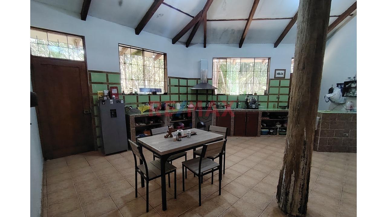 En Venta: Casa Campestre A Metros De Los Baños Termales En Moyobamba Con 10,230 M² De Terreno, Bosque Virgen Y Diseño Octagonal - 16