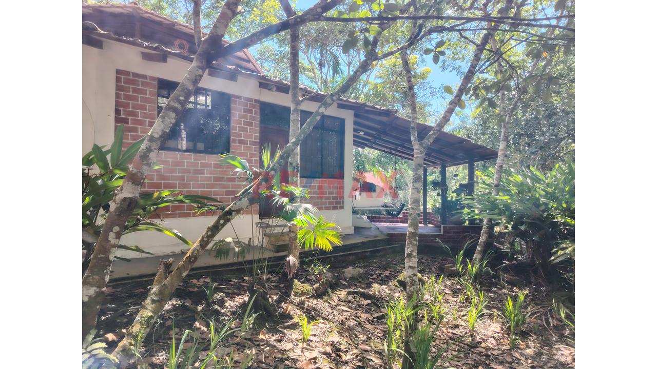 En Venta: Casa Campestre A Metros De Los Baños Termales En Moyobamba Con 10,230 M² De Terreno, Bosque Virgen Y Diseño Octagonal - 3