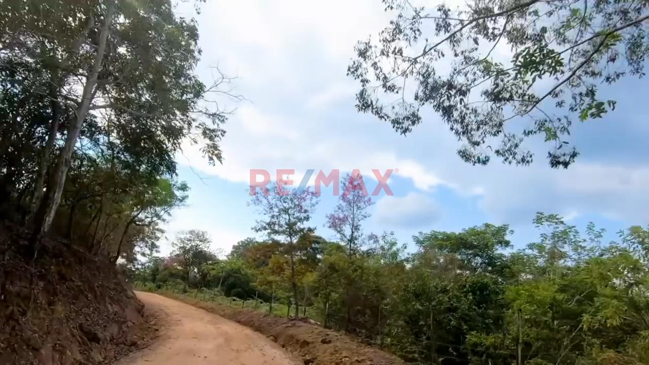 ¡El Refugio Que Buscabas! Exclusividad Y Naturaleza En San Antonio De Cumbaza — foto 2