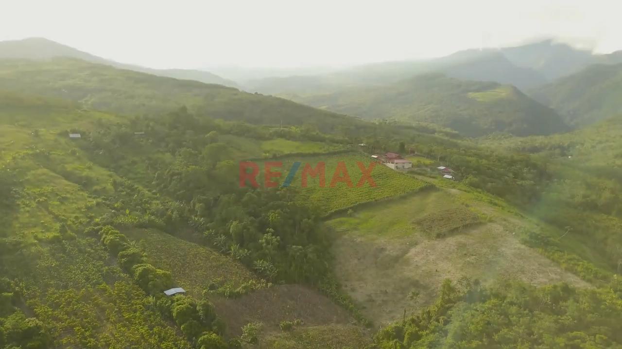Tu Refugio Verde En Alto Cumbaza: Lote Con Vistas Panorámicas A La Cordillera — foto 7