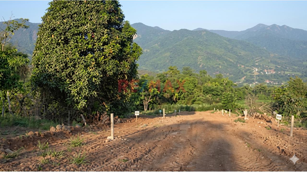 Tu Refugio Verde En Alto Cumbaza: Lote Con Vistas Panorámicas A La Cordillera — foto 8