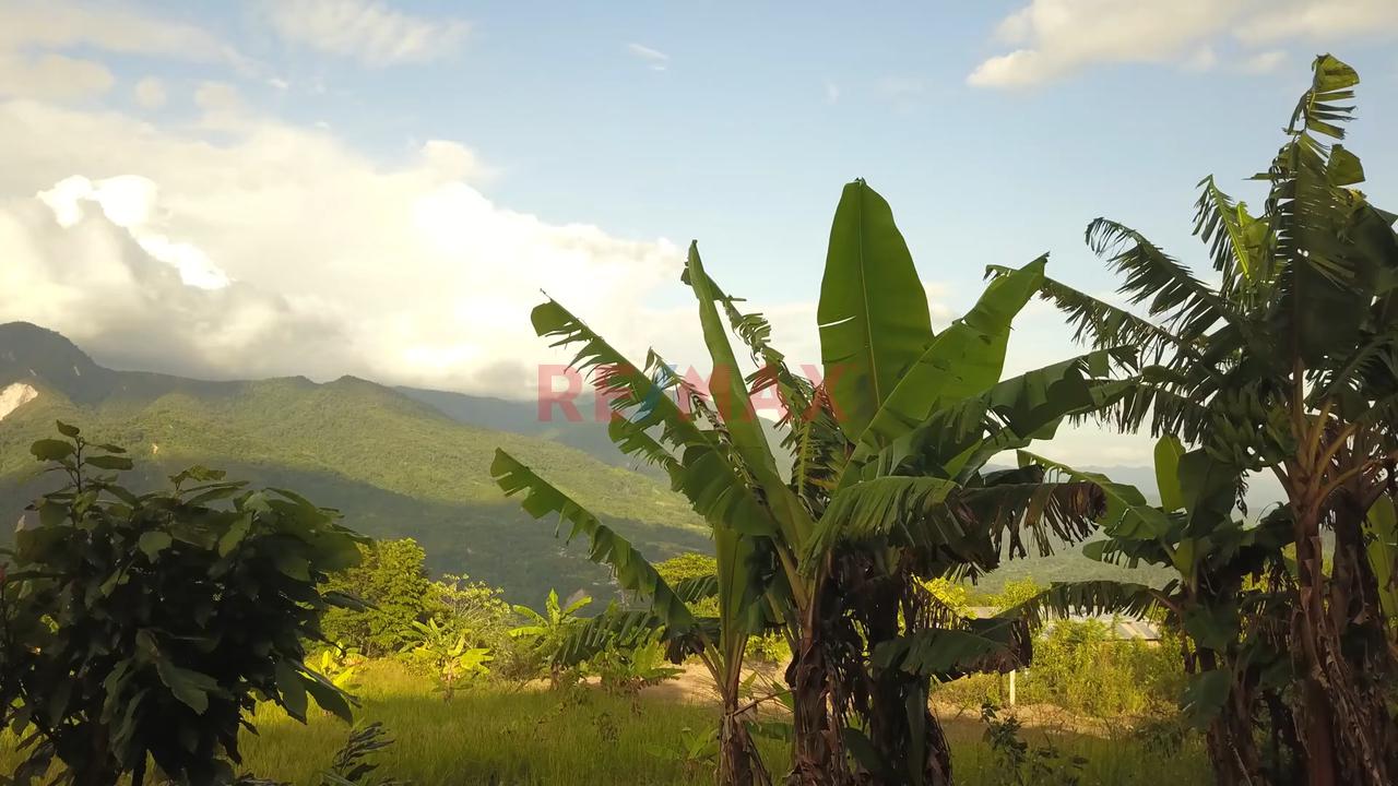 Tu Refugio Verde En Alto Cumbaza: Lote Con Vistas Panorámicas A La Cordillera — foto 2