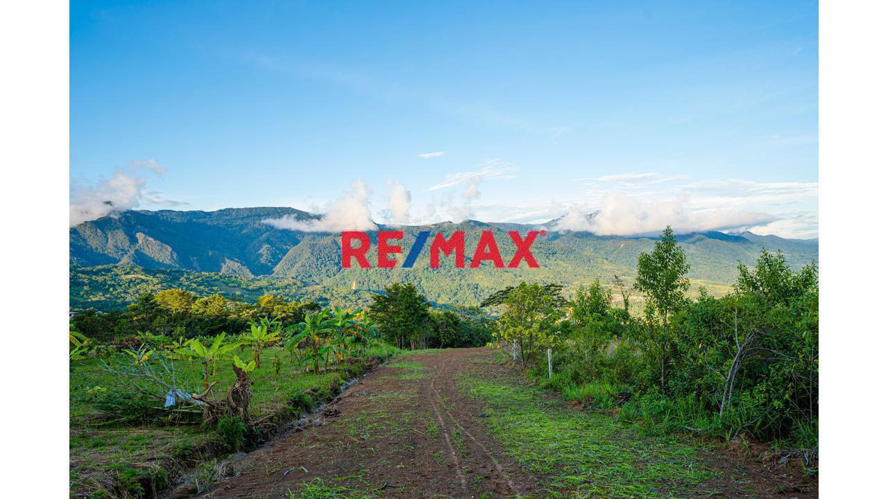 Tu Refugio Verde En Alto Cumbaza: Lote Con Vistas Panorámicas A La Cordillera