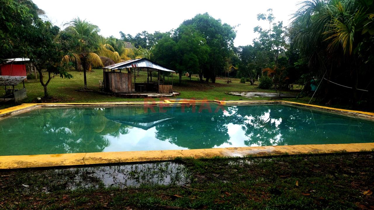 Terreno En Venta En Fundo Baviera – Padre Cocha, Loreto - 6