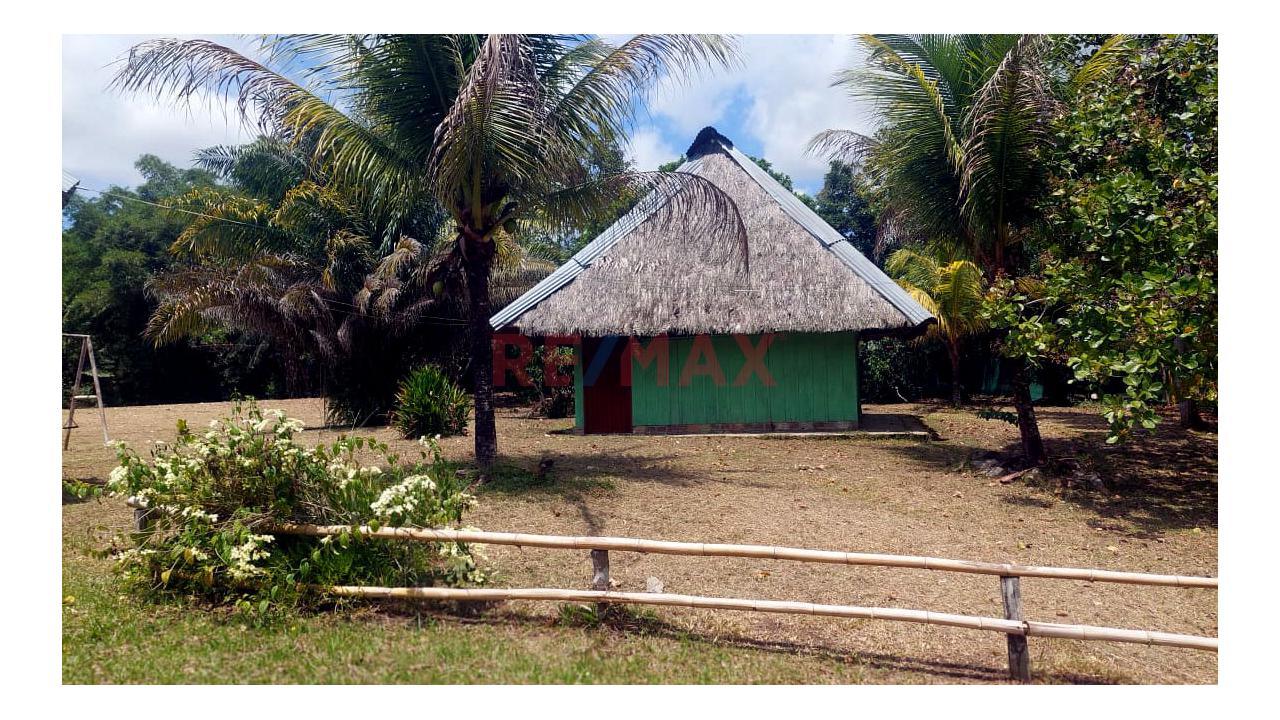 Terreno En Venta En Fundo Baviera – Padre Cocha, Loreto - 9