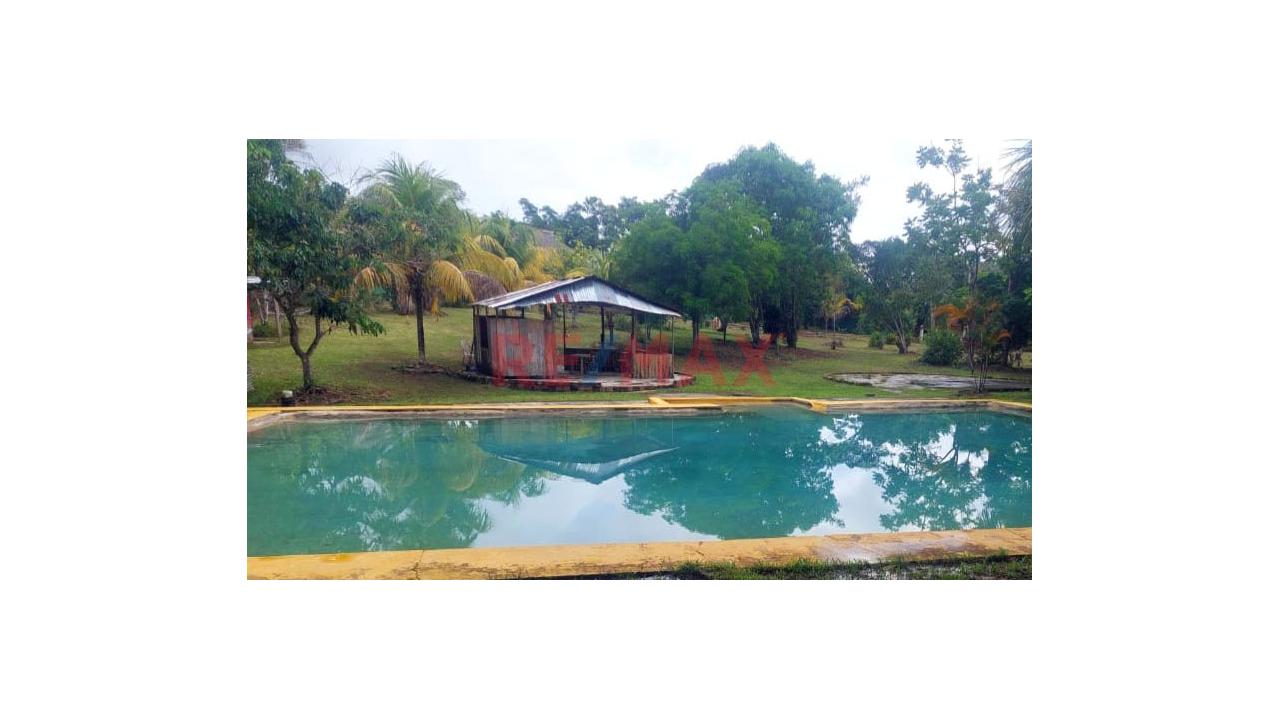 Terreno En Venta En Fundo Baviera – Padre Cocha, Loreto - 8