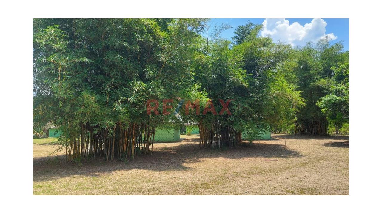 Terreno En Venta En Fundo Baviera – Padre Cocha, Loreto - 16