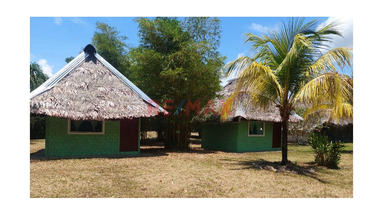 Terreno En Venta En Fundo Baviera – Padre Cocha, Loreto - 14
