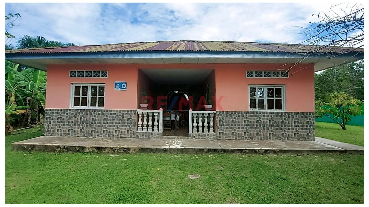 Terreno En Venta En Fundo Baviera – Padre Cocha, Loreto - 19