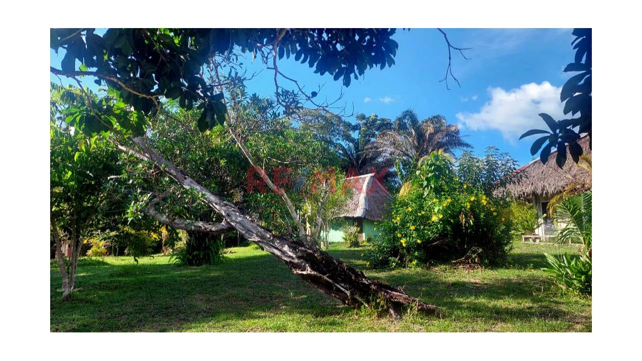 Terreno En Venta En Fundo Baviera – Padre Cocha, Loreto - 17