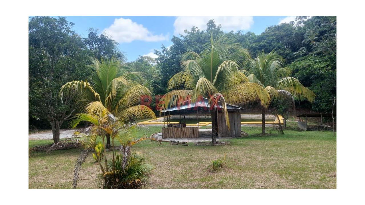 Terreno En Venta En Fundo Baviera – Padre Cocha, Loreto - 7